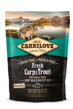 Carnilove Dog Fresh Carp & Trout for Adult 
