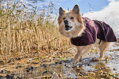 Obleček Hurtta Mudventure Coat ECO lilková