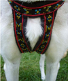 Postroj HOUND