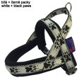 Postroj FLYBALL TLAPKY