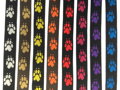 Postroj FLYBALL TLAPKY