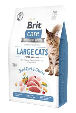 Brit Care Cat GF Large cats Power&Vitality
