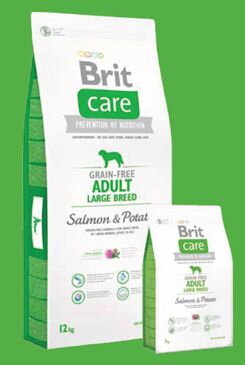 Brit Care Dog Grain-free Adult LB Salmon & Potato 