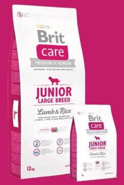 Brit Care Dog Junior Large Breed Lamb & Rice 