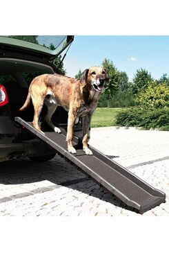 Rampa PET RAMP protiskluzová do 90kg 40x156cm TR