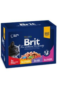 Brit Premium Cat kapsa Family Plate 1200g (12x100g)