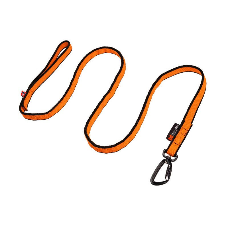 Bungee leash Bungee leash