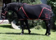 Univerzální stájová deka pro koně